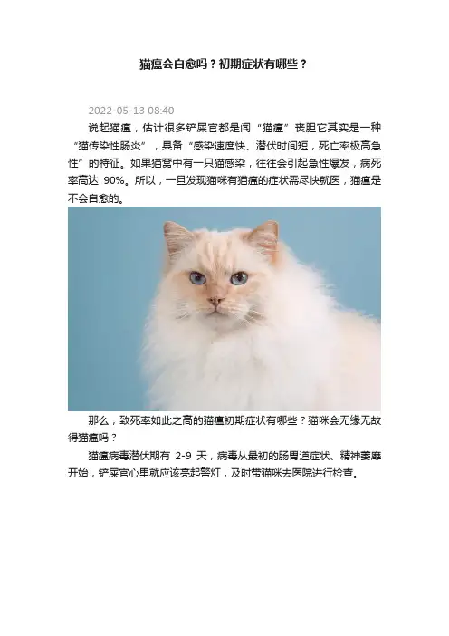 猫瘟会自愈吗？初期症状有哪些？