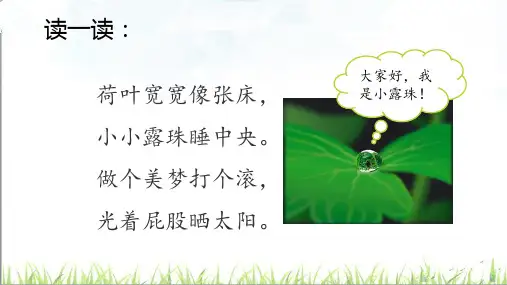 苏教版三年级上册6小露珠