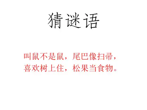 人教版六上语文22、《跑进家来的松鼠》课件(叶小秋)
