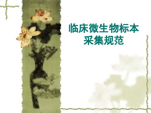 临床微生物标本采集规范