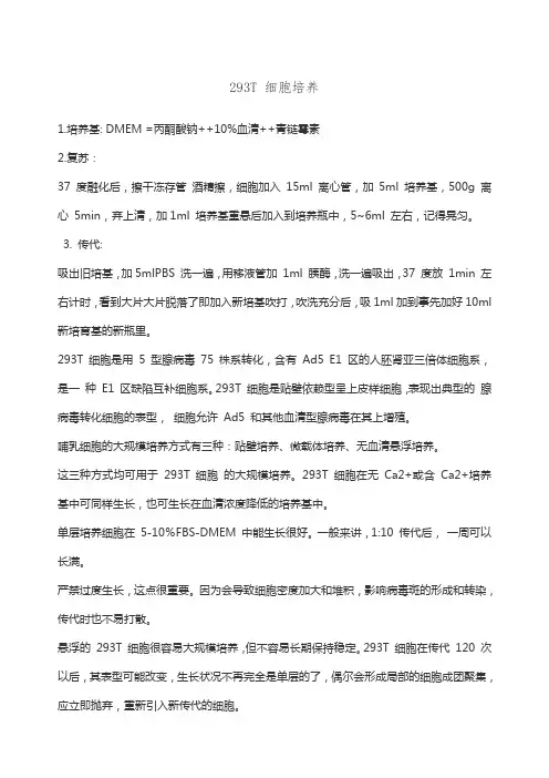 T细胞培养