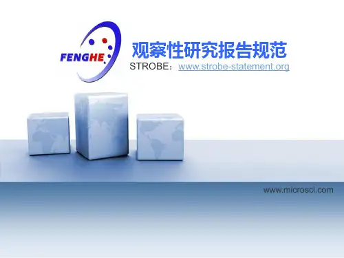 观察性研究报告规范