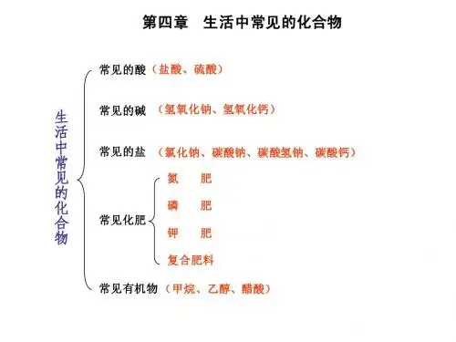 生活中常见的化合物
