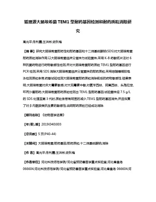 狐狸源大肠埃希菌TEM1型耐药基因检测和耐药质粒消除研究