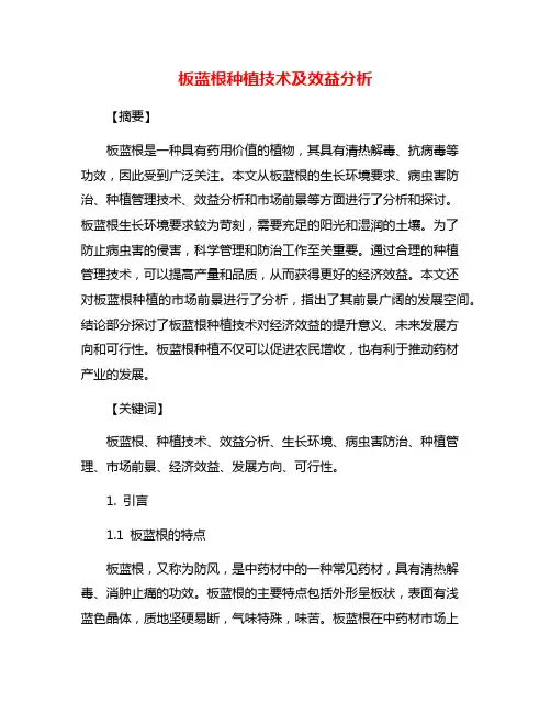 板蓝根种植技术及效益分析