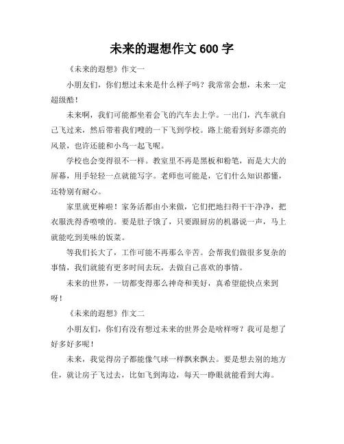 未来的遐想作文600字