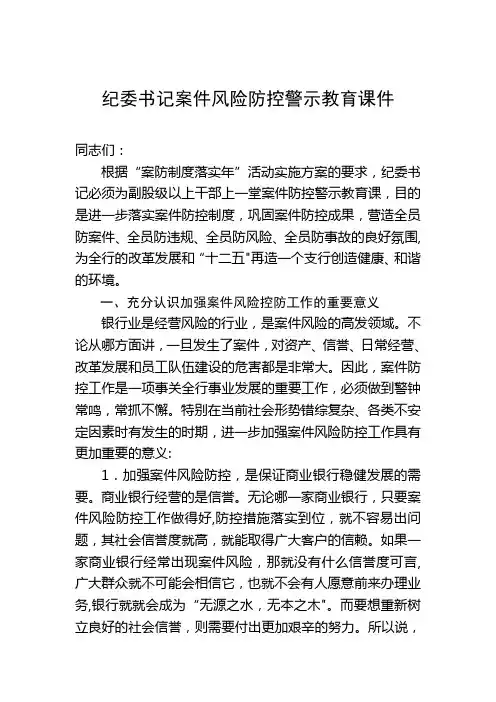 纪委书记案件风险防控警示教育课