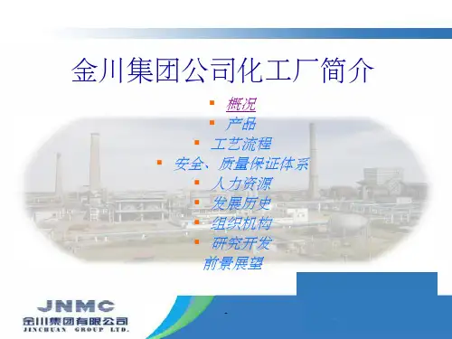 化工厂简介ppt