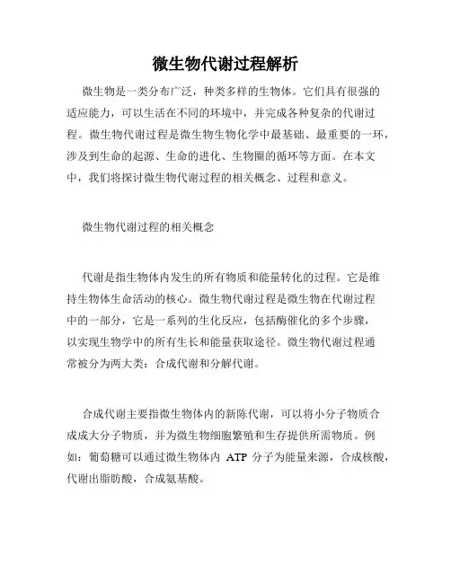 微生物代谢过程解析