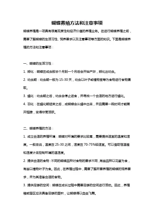 蝴蝶养殖方法和注意事项