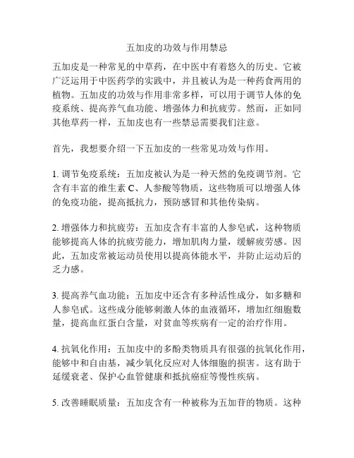 五加皮的功效与作用禁忌