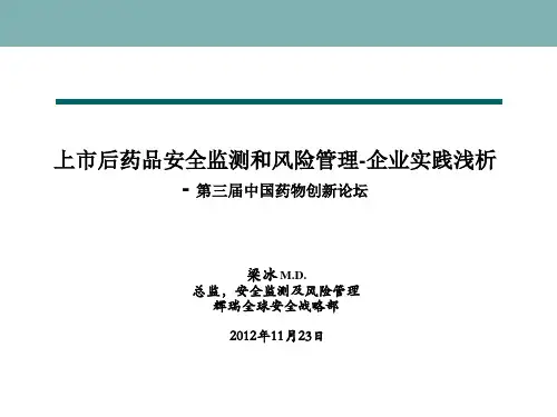 上市后药品安全检测和风险管理 辉瑞梁冰
