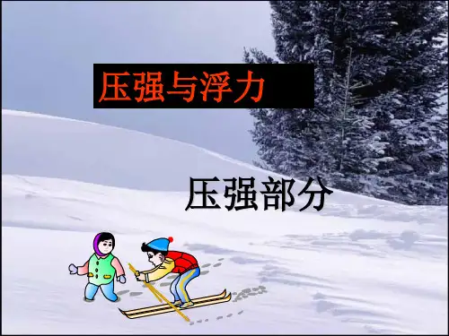 压强与浮力(压强部分新课)52页PPT