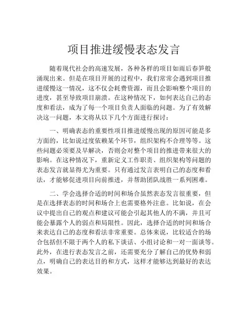 项目推进缓慢表态发言