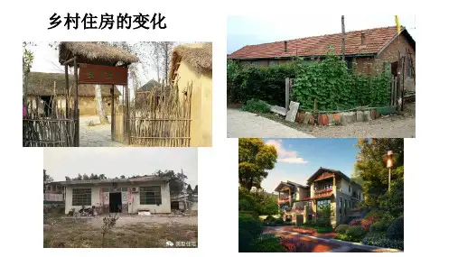 人教版八上道德与法治10.1关心国家发展 (共29张PPT)