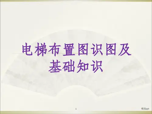 电梯布置及识图