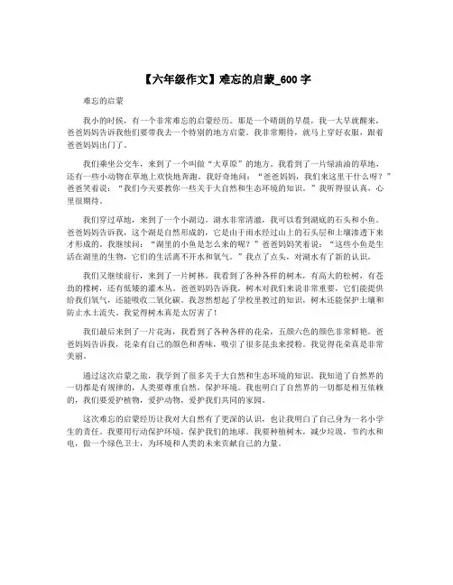 【六年级作文】难忘的启蒙_600字