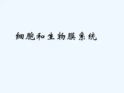 细胞和生物膜系统复习