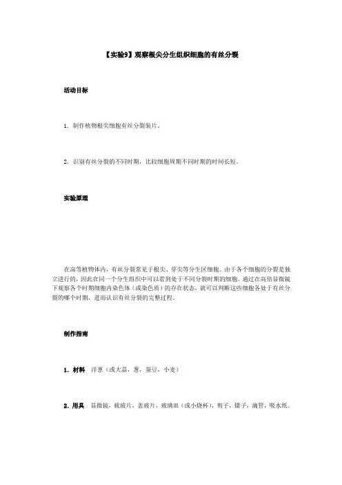 高中生物实验  观察根尖分生组织细胞的有丝分裂