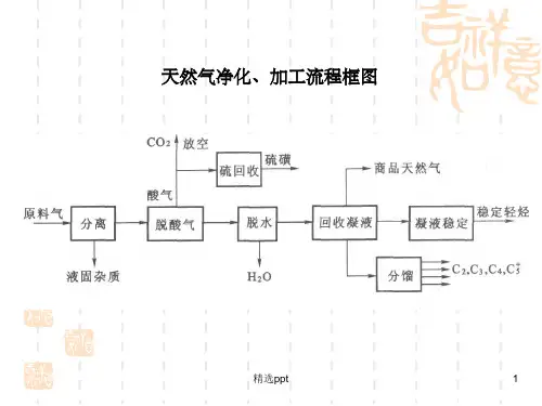天然气脱酸性气体PPT课件