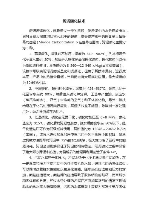 污泥碳化技术