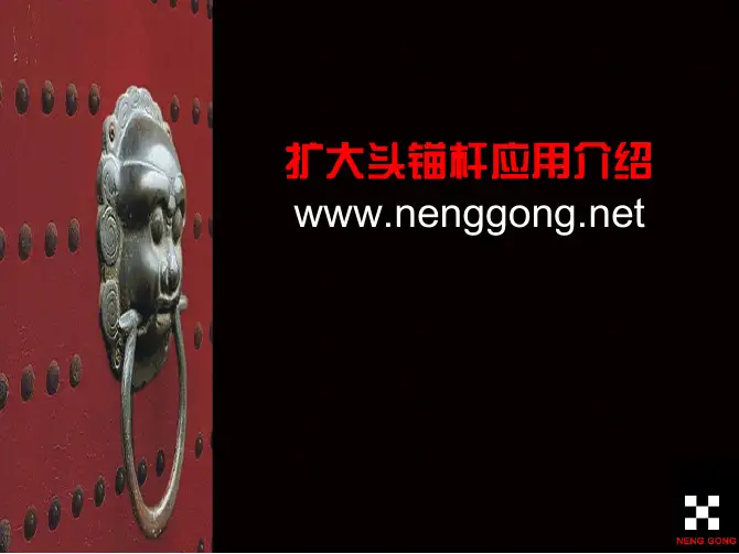 扩大头锚杆(含可回收)