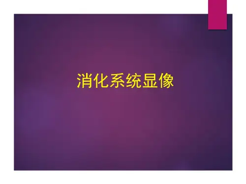 核医学--消化系统显像