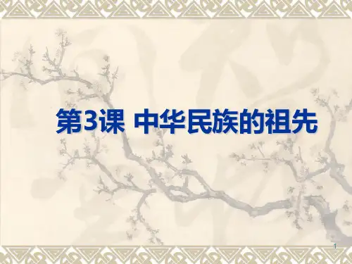 第3课中华民族的祖先PPT课件
