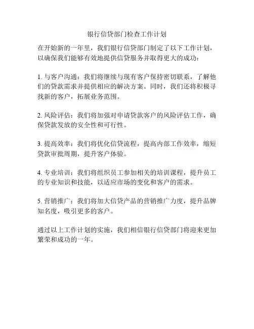 银行信贷部门检查工作计划