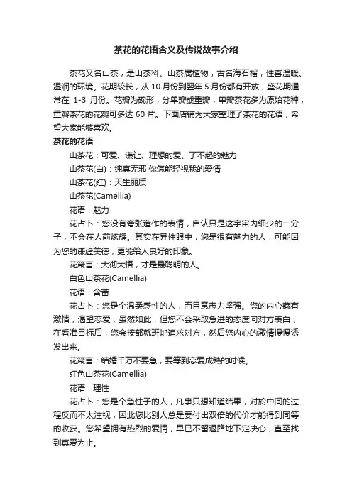 茶花的花语含义及传说故事介绍
