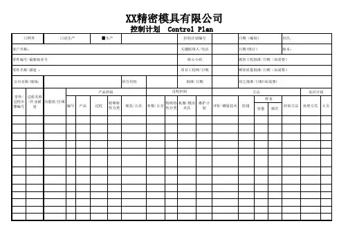 IATF16949控制计划模板