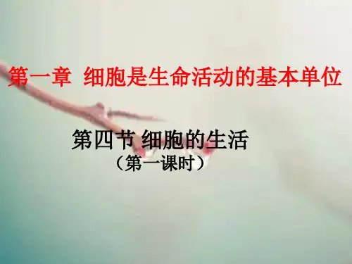 人教版七年级上册生物 2.1.4细胞的生活 课件(共44张PPT)