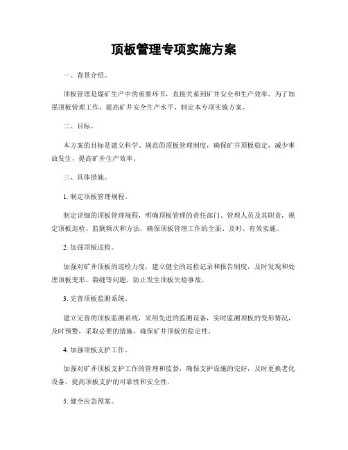 顶板管理专项实施方案