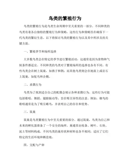 鸟类的繁殖行为