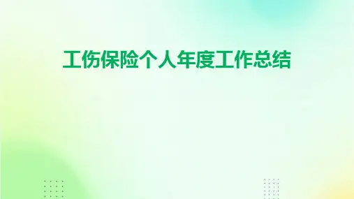 工伤保险个人年度工作总结PPT