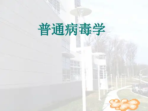 病毒学第三章病毒的形态与结构