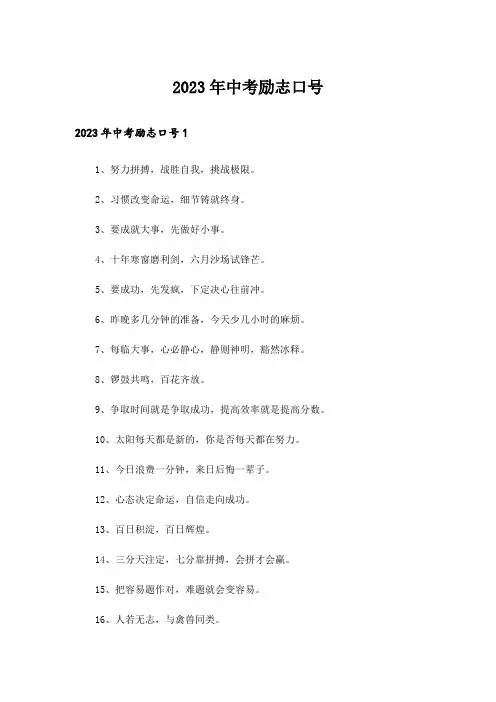 2023年中考励志口号_9