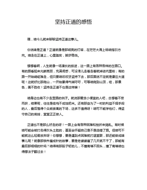 坚持正道的感悟