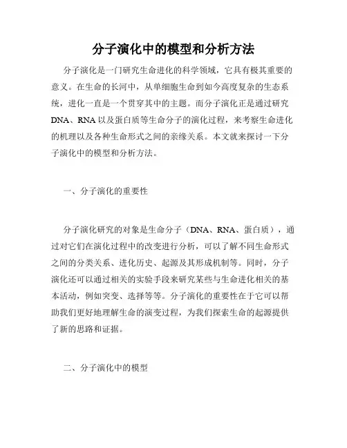 分子演化中的模型和分析方法