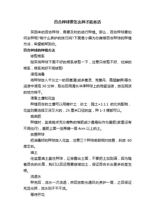 百合种球要怎么种才能养活