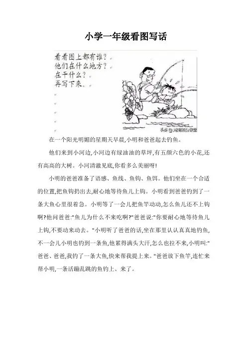 小学一年级看图写话12篇