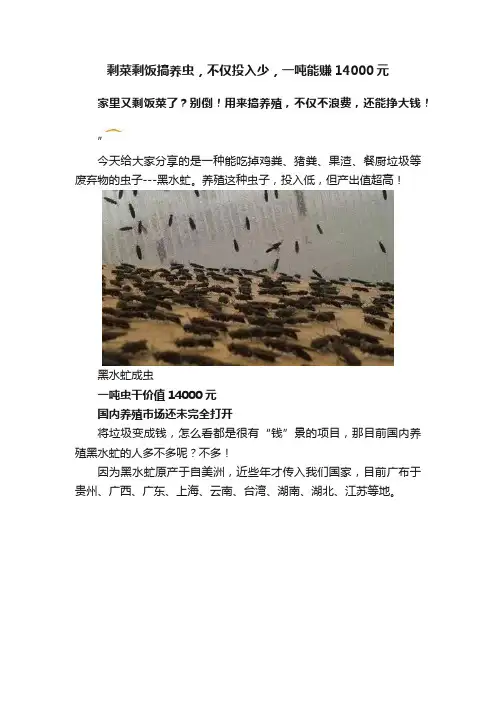 剩菜剩饭搞养虫，不仅投入少，一吨能赚14000元