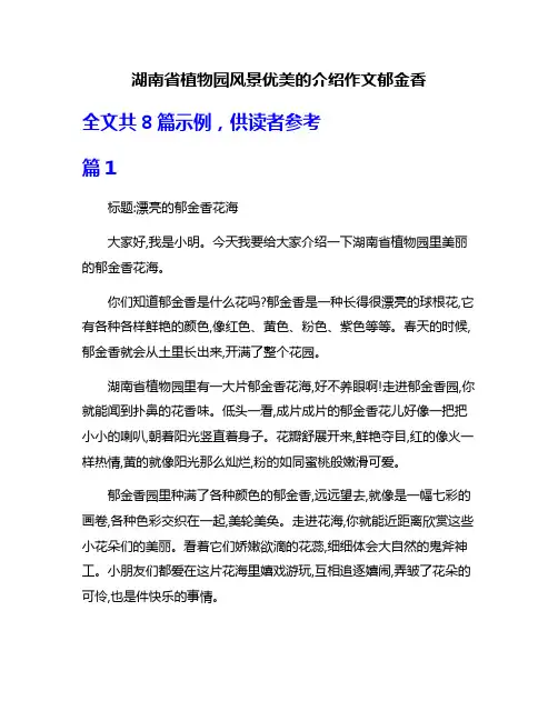 湖南省植物园风景优美的介绍作文郁金香