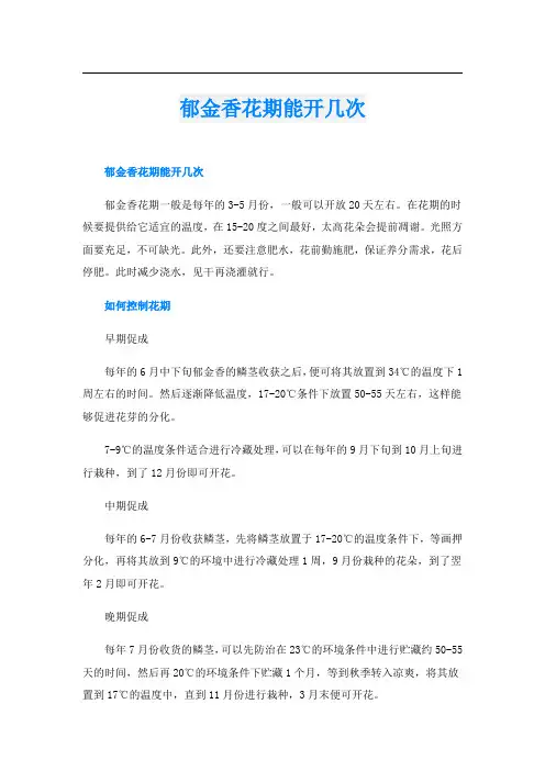 郁金香花期能开几次