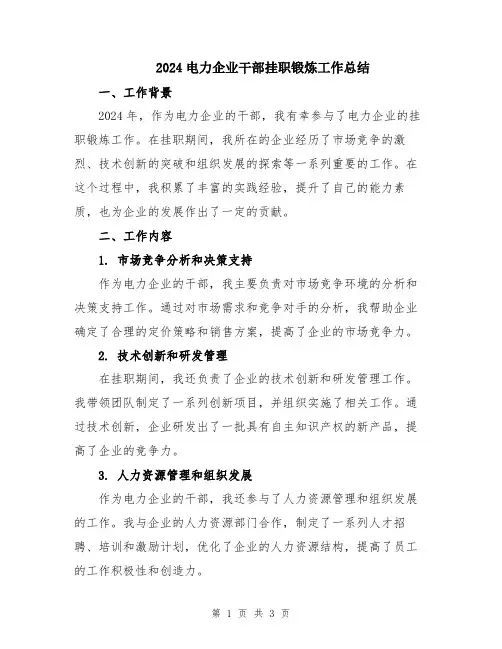 2024电力企业干部挂职锻炼工作总结