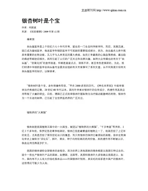 银杏树叶是个宝