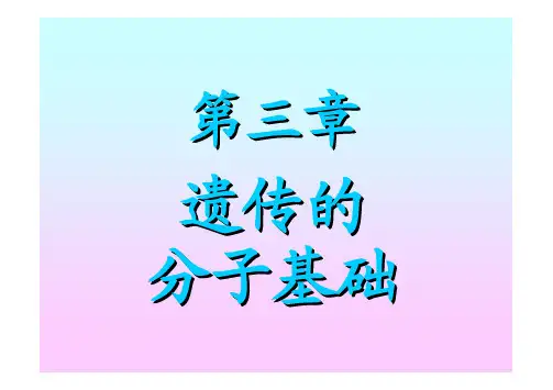 医学遗传学 3、分子基础