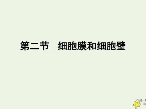 浙江省杭州市塘栖中学高中生物2.2细胞膜和细胞壁课件浙教版必修1