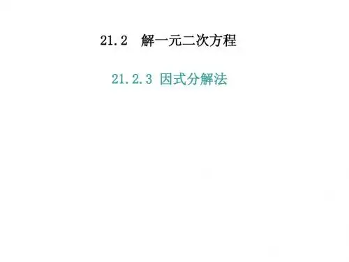 21.2.3 因式分解法(复习课件)