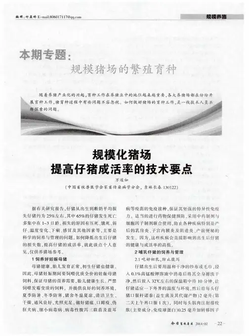 规模化猪场提高仔猪成活率的技术要点